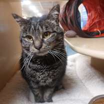 Thumbnail photo of Nessarose #2