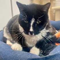 Thumbnail photo of Oscar #2