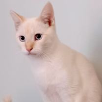 Thumbnail photo of IVAN #3