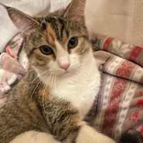 Thumbnail photo of Eileen #3