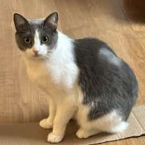 Thumbnail photo of Donut #1