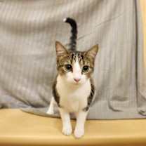 Thumbnail photo of Nellie #3