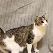 Thumbnail photo of Nellie #4