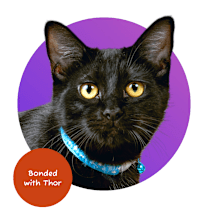 Thumbnail photo of Flash #1