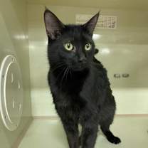 Thumbnail photo of Sevyn #1