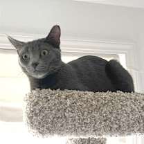 Thumbnail photo of Molly #3