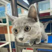 Thumbnail photo of Berry #1