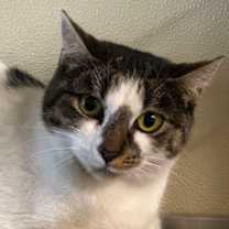 Thumbnail photo of Celia #1