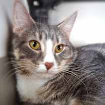 Thumbnail photo of George #1