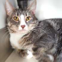 Thumbnail photo of George #2