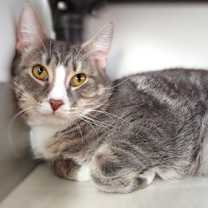 Thumbnail photo of George #3