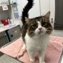 Thumbnail photo of Beatrice #1