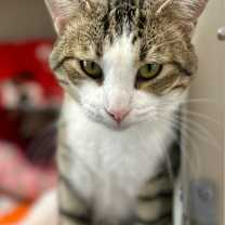 Thumbnail photo of Dylan #3