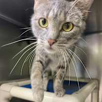 Thumbnail photo of Angelina  #3