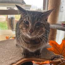 Thumbnail photo of Turtle FKA Charlotte #2