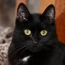 Thumbnail photo of Liam #2