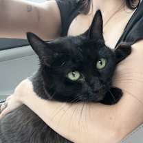 Thumbnail photo of Mia #1