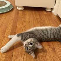 Thumbnail photo of Birdie #1