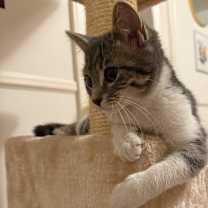 Thumbnail photo of Birdie #2