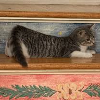 Thumbnail photo of Birdie #3