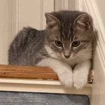 Thumbnail photo of Birdie #4