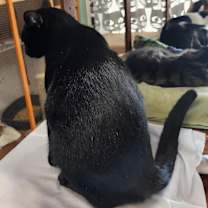 Thumbnail photo of Peak #4