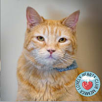 Thumbnail photo of Xochitl #1