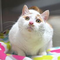 Thumbnail photo of Pablo #1