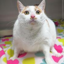 Thumbnail photo of Pablo #2