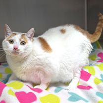 Thumbnail photo of Pablo #4