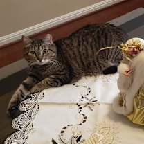 Thumbnail photo of Imogen #1