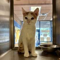 Thumbnail photo of James TCR1 8/29/25 #2