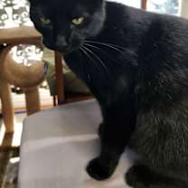 Thumbnail photo of Peak #3