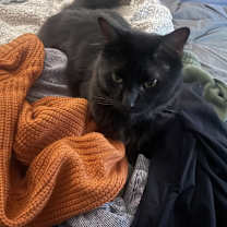 Thumbnail photo of Richard #1