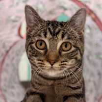 Thumbnail photo of Myra #1