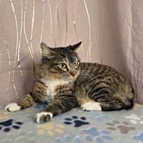 Thumbnail photo of Eddie #3