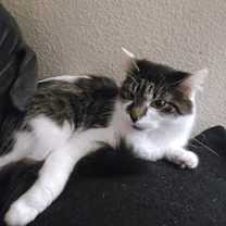 Thumbnail photo of Mary #3