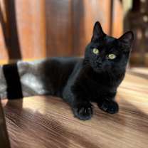 Thumbnail photo of Dolores #2