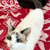 Thumbnail photo of Sally #2