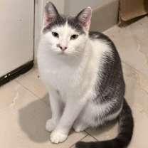 Thumbnail photo of Flash #3