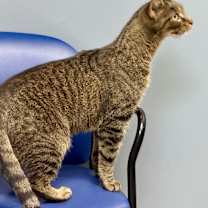 Thumbnail photo of Aiden #2