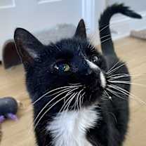 Thumbnail photo of Boots #1