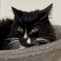 Thumbnail photo of Boots #2