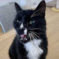 Thumbnail photo of Boots #3