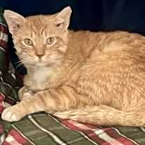 Thumbnail photo of Fergie #1