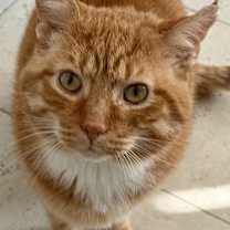 Thumbnail photo of Fergie #2