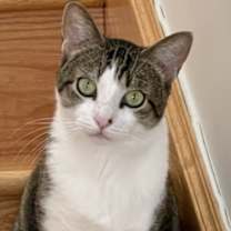 Thumbnail photo of Tag #3