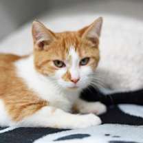 Thumbnail photo of Parker #2