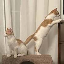 Thumbnail photo of Parker #3