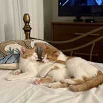 Thumbnail photo of Parker #4